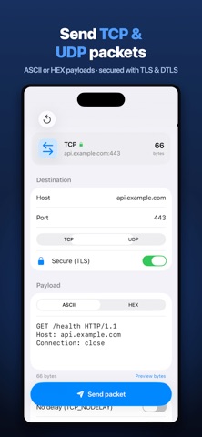 TCP & UDP Packet Sender 스크린샷 2