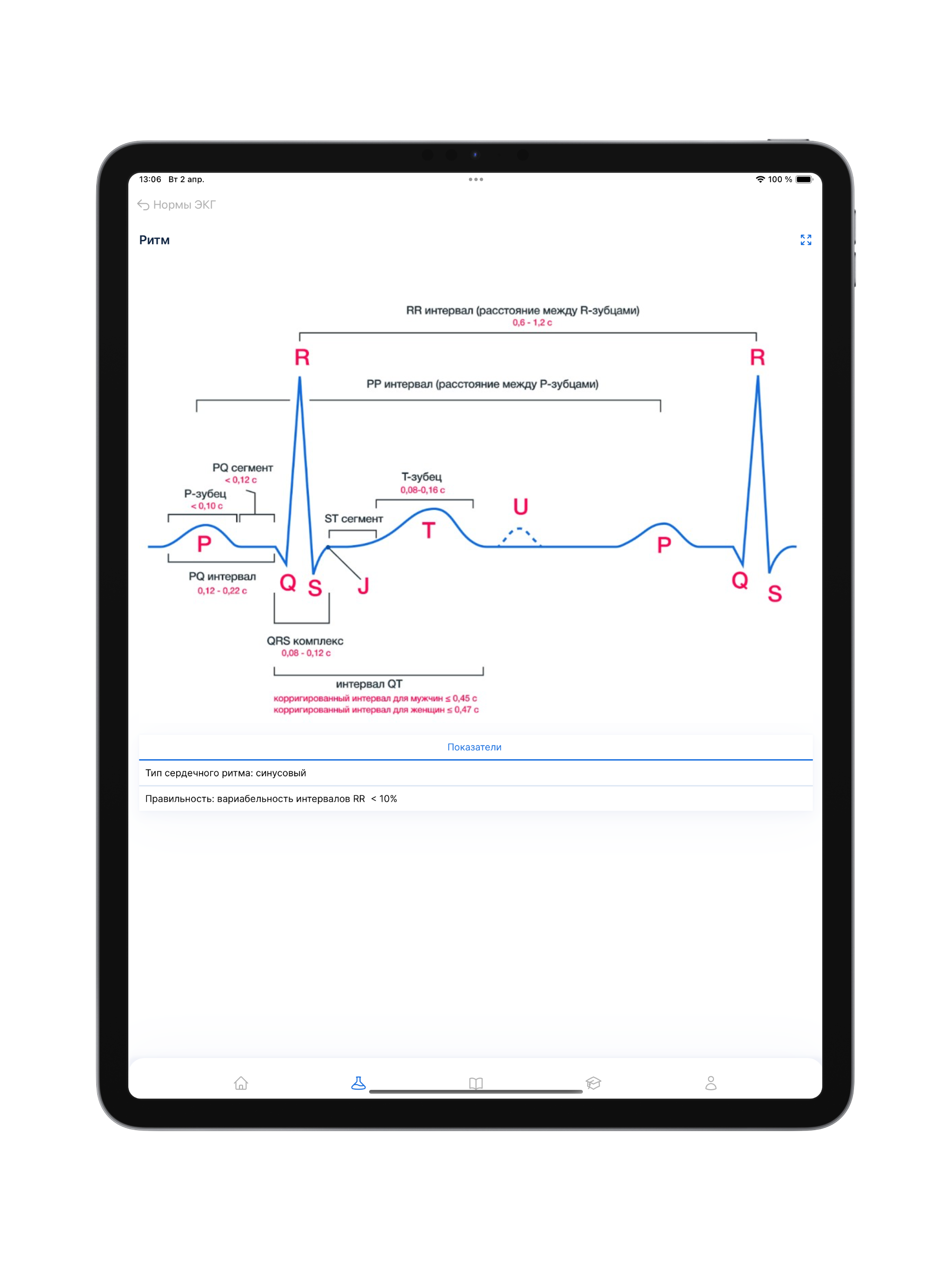 SYNAPSE I СИНАПС