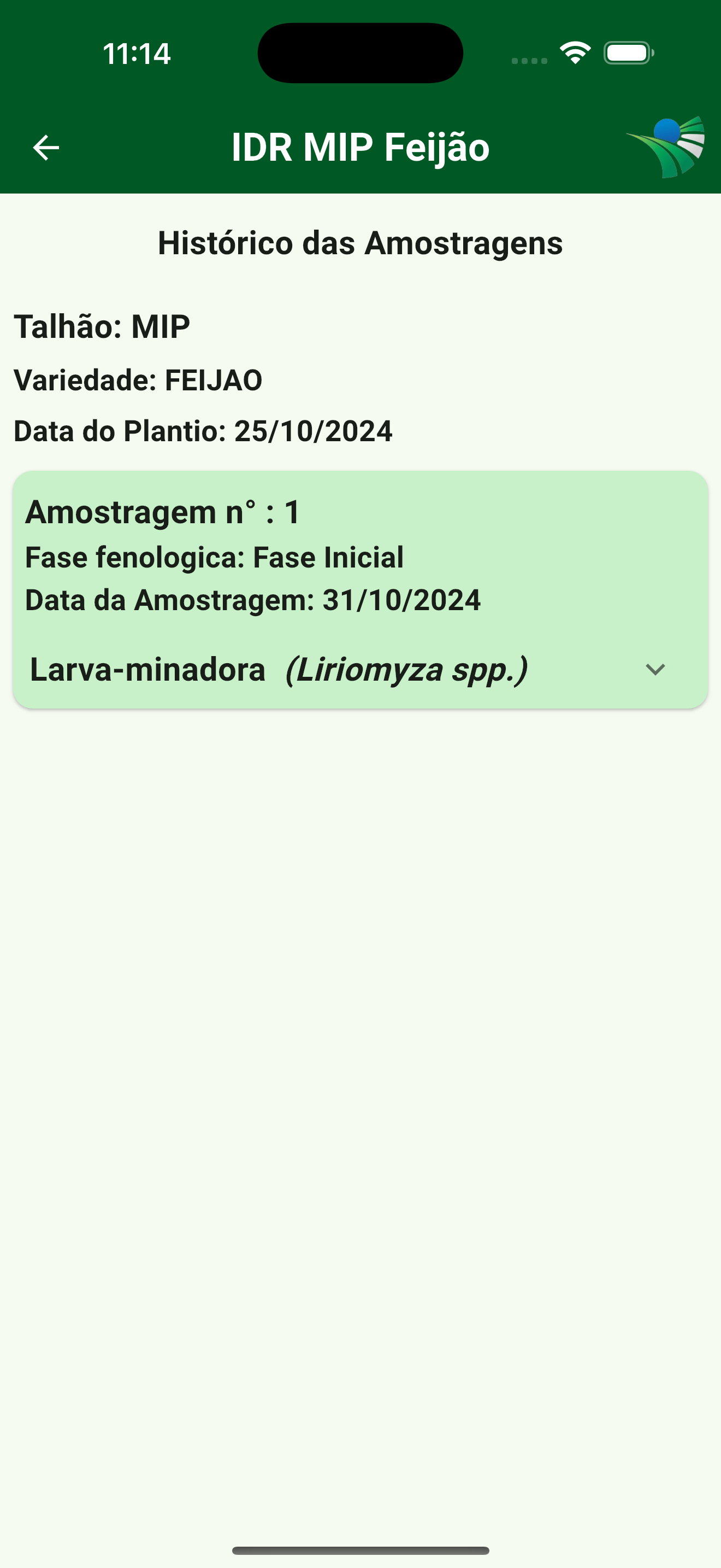 IDR MIP Feijão
