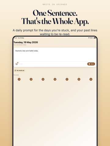 One Line A Day: 365 Journal iPad screenshot