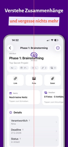 BrainMesh screenshot