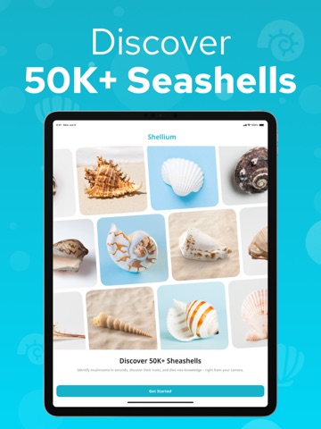 Seashell Identifier – Shellium iPad screenshot