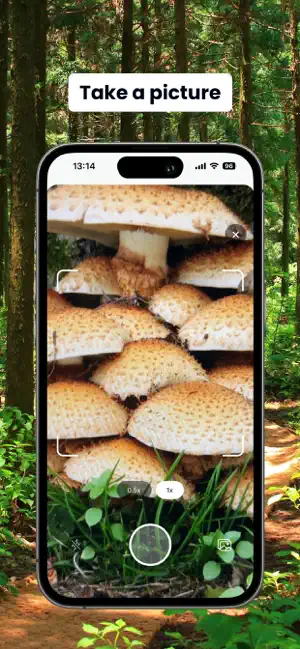 Mush ID | Mushroom Identifier screenshot 2