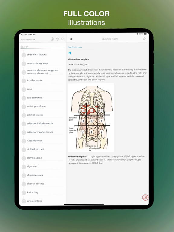 Screenshot #6 pour Stedman's Medical Dictionary N