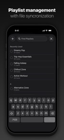 Pentaton: HiFi Audio Player screenshot