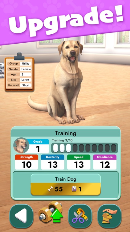 Pocket Paws: My lovely dogs screenshot-4