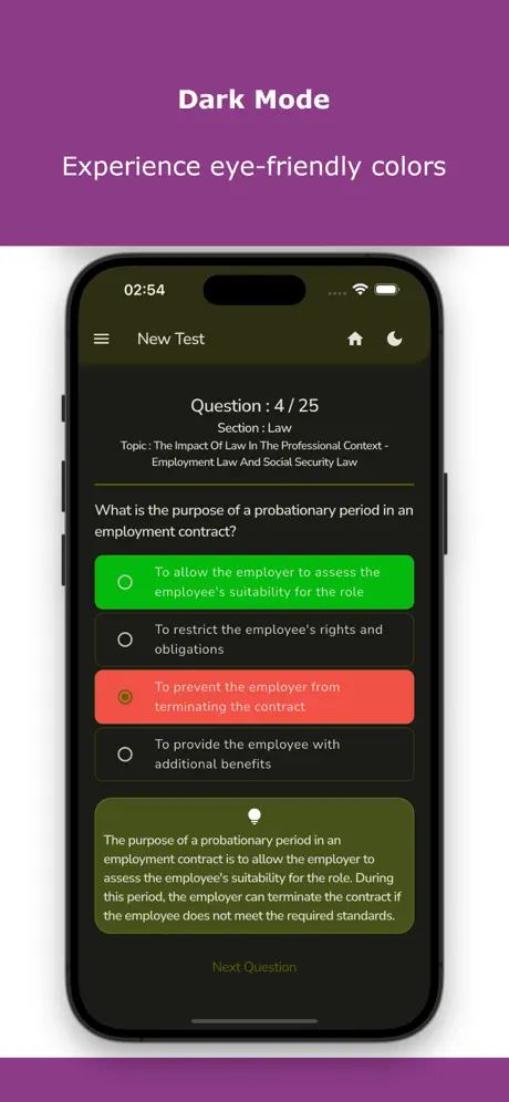 Chartered Accountant Exam Test Screenshot 4