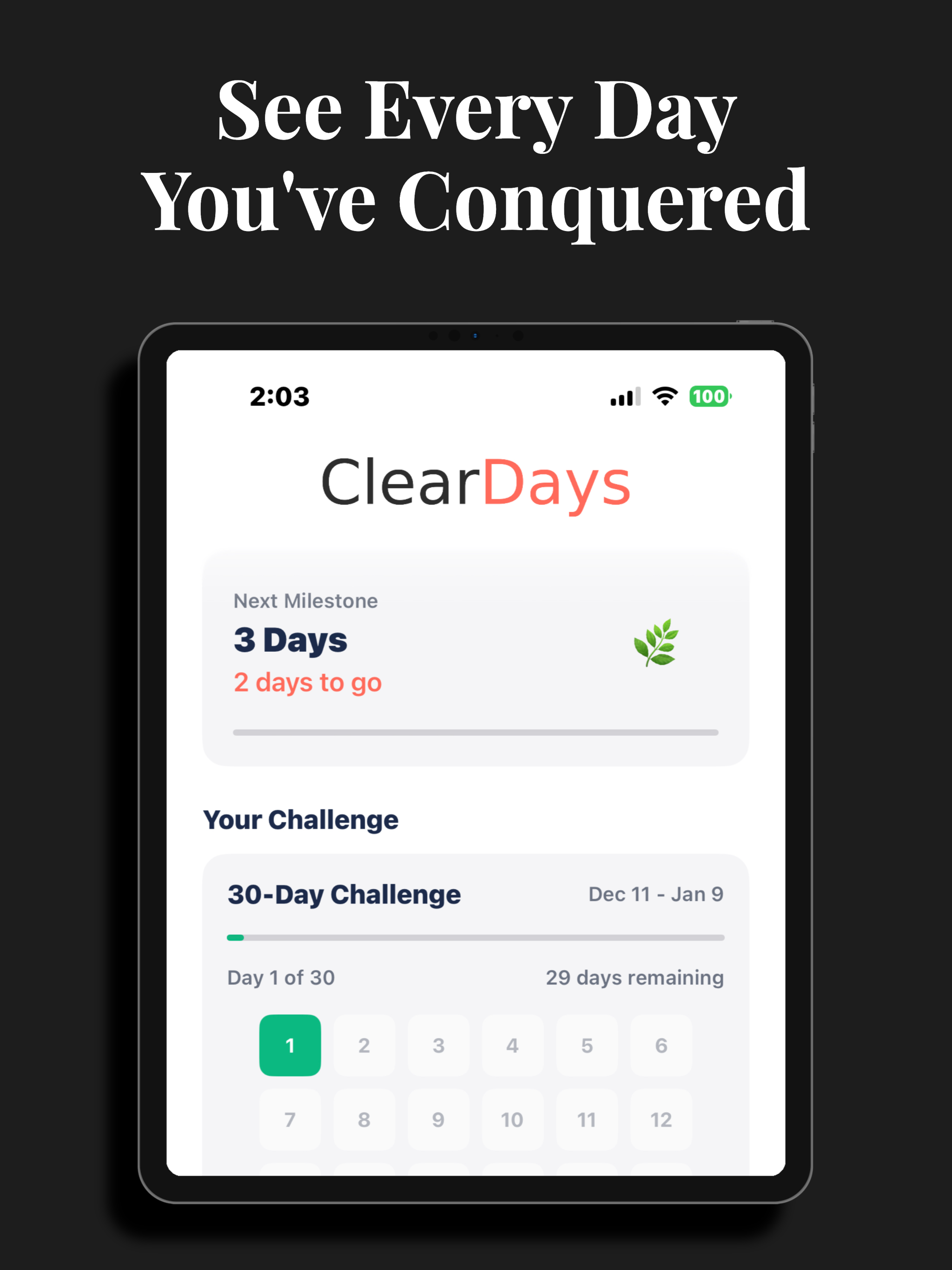 Clear Days : Sobriety Tracker screenshot 12