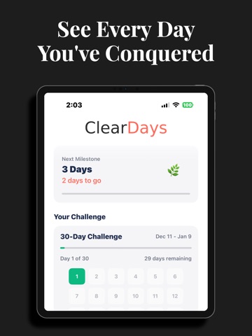 Clear Days : Sobriety Tracker iPad screenshot