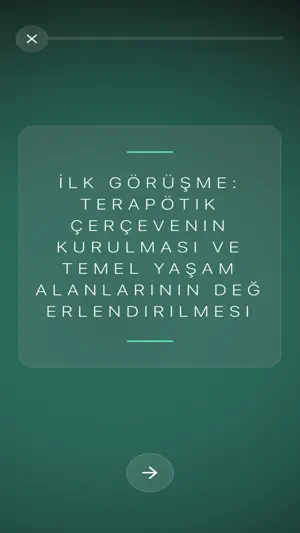 PsikoVizör screenshot 3