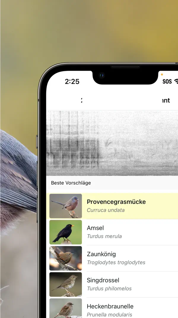 Merlin Bird ID von Cornell Lab Screenshot 3