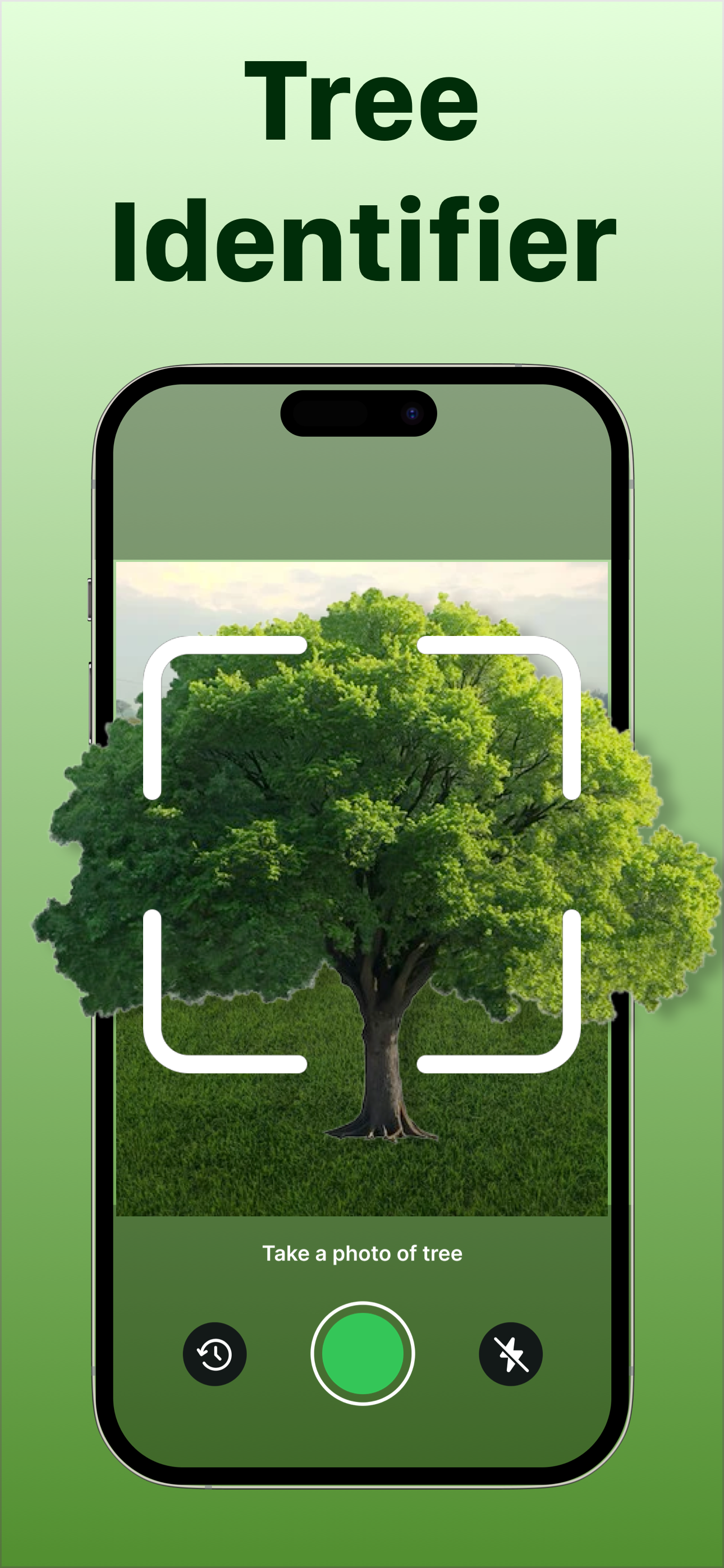 Tree Identifier: Tree id