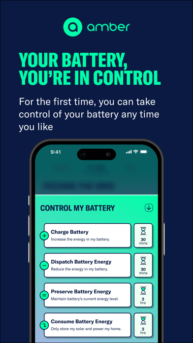 AmberElectric