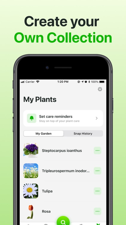 Plant Identifier & Care App screenshot-7