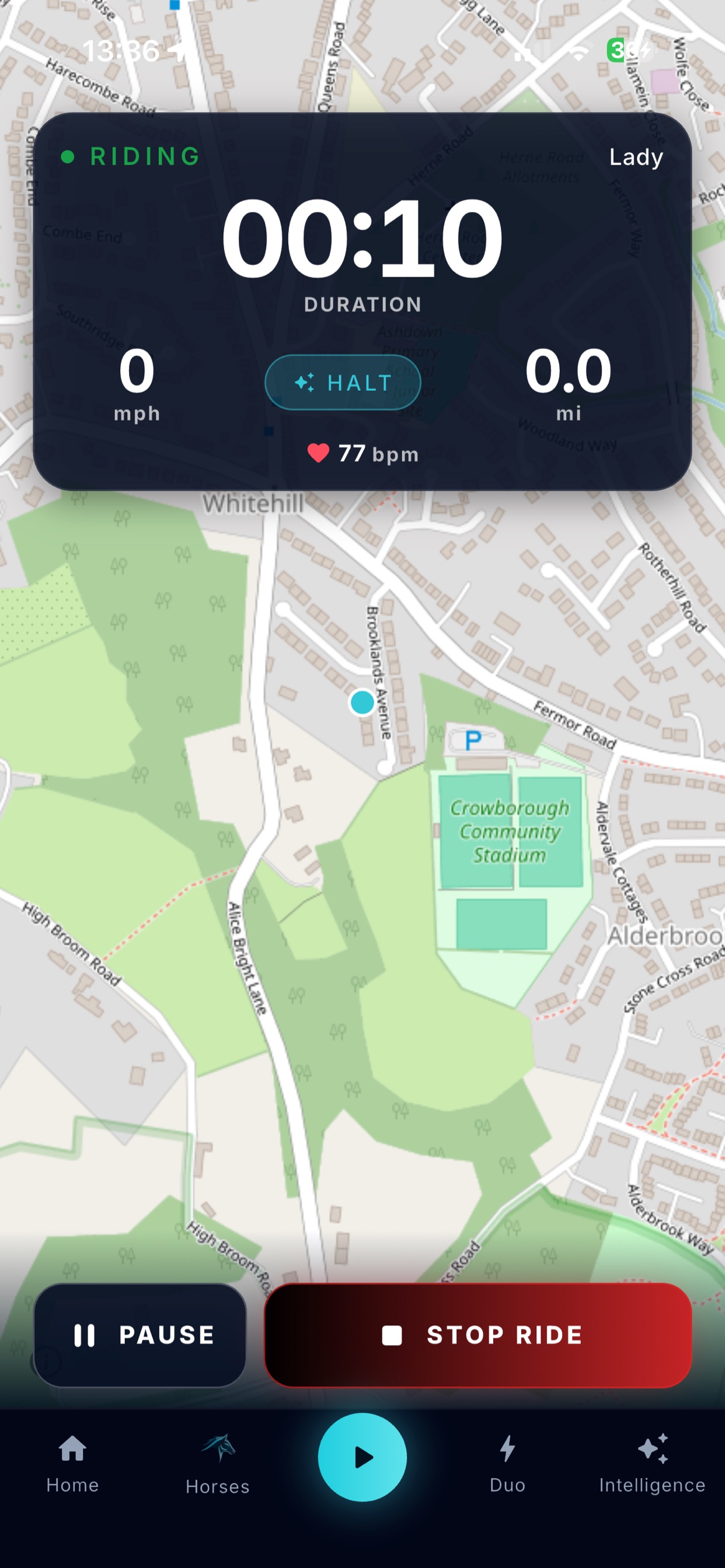 Screenshot 1 of STRIDE: Equine Intelligence
