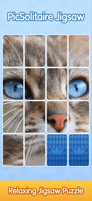 PicSolitaire Jigsaw screenshot 3