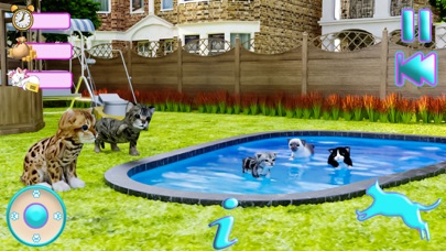 Little kitty Cat Sim Big City Screenshot