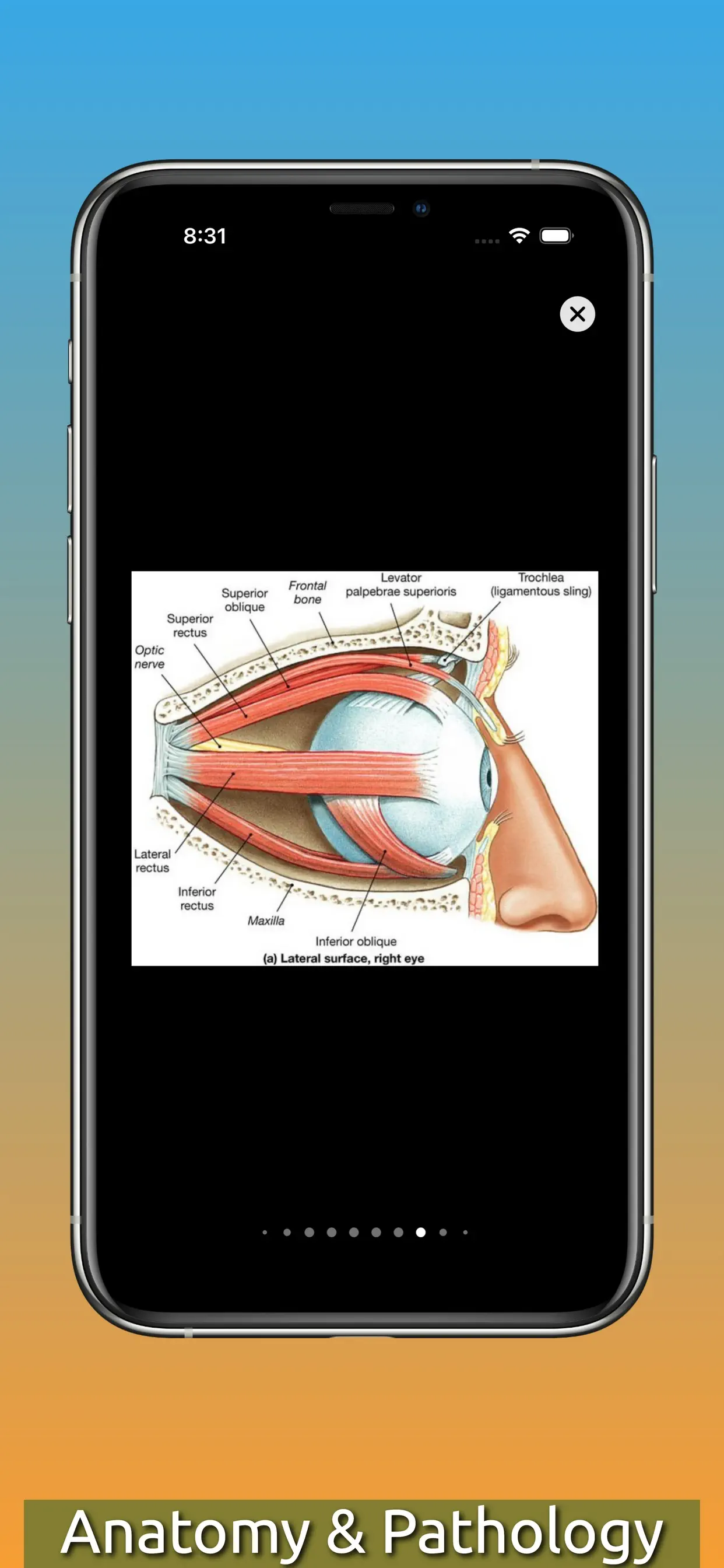 #8. Eye Science (iOS) By: ManalSoft