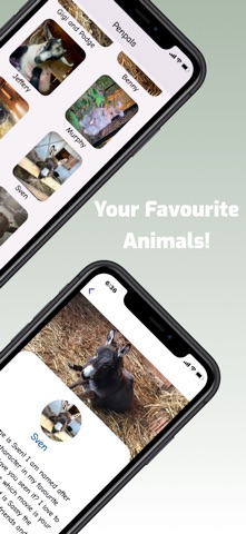 Penpal Farms iPhone screenshot