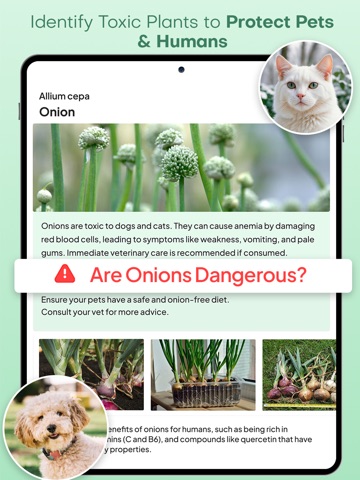 Plantae - AI Plant Identifier iPad screenshot