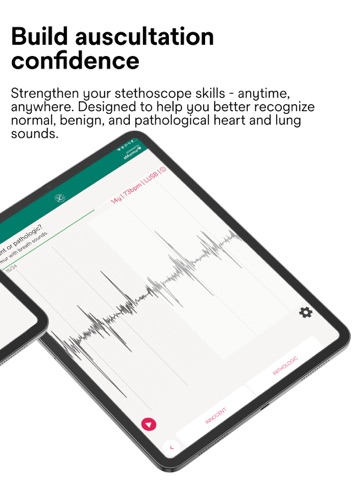 Littmann Learning iPad screenshot 2
