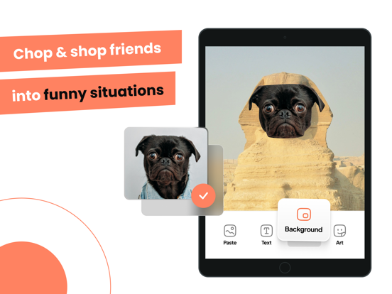 Cut and Paste: Photos Editor iPad screenshot 2 - Photo & Video app