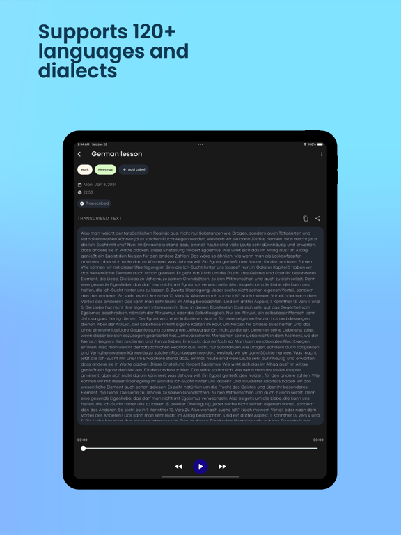 Voice Memos Speechify iPad screenshot 5 - Productivity app