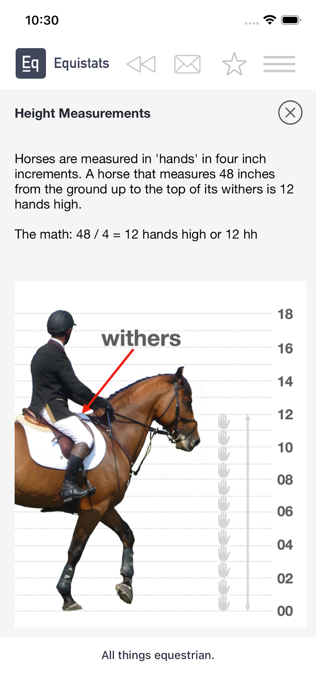 Equistats screenshot 5