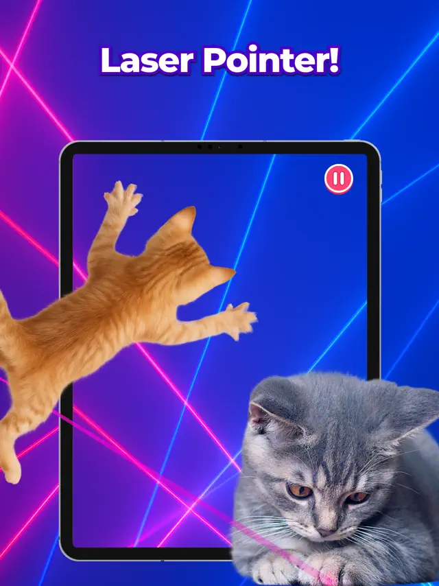 screenshot6 screenshot 6