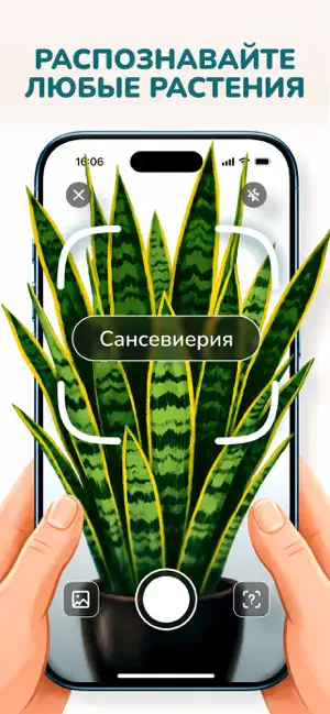 Florum: Растения iPhone screenshot 3