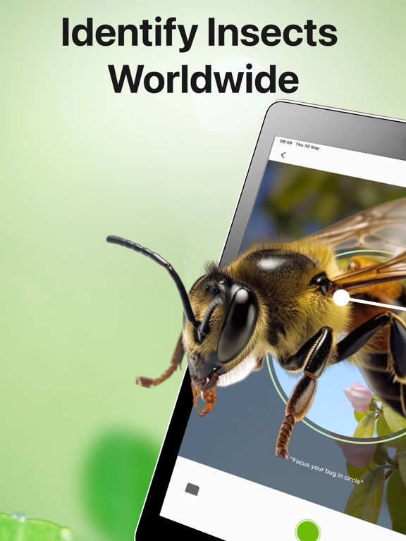 Screenshot #4 pour Insecte Scanner Insekten ID