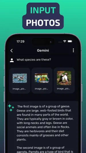 AI Chatbot & Assistant: Evo screenshot 3