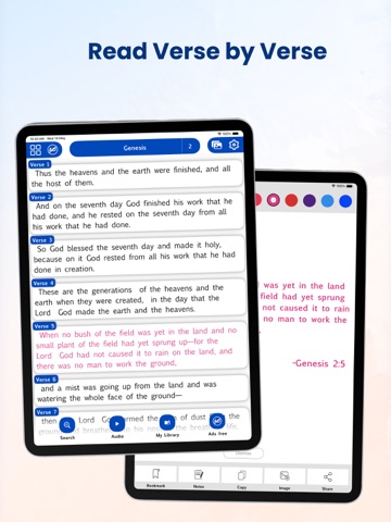 New International Version iPad screenshot
