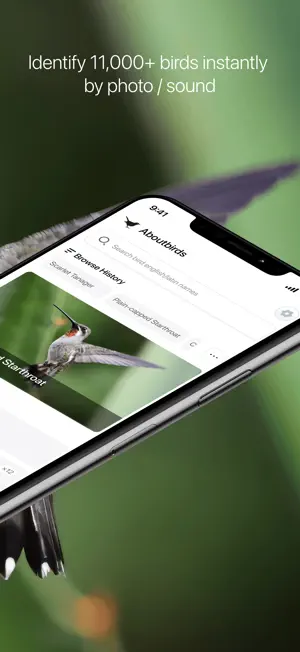 Aboutbirds screenshot 2