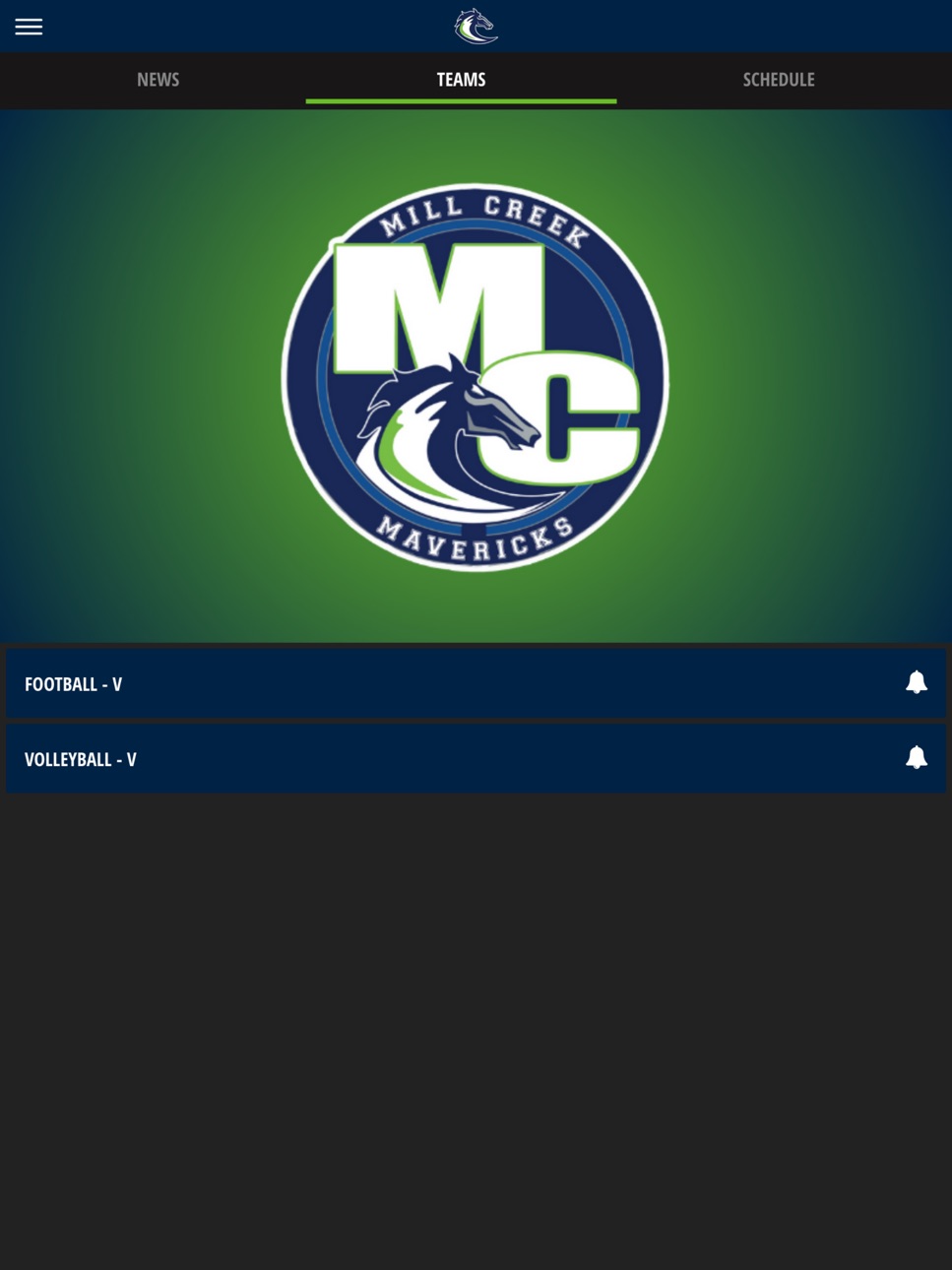 iPad screenshot