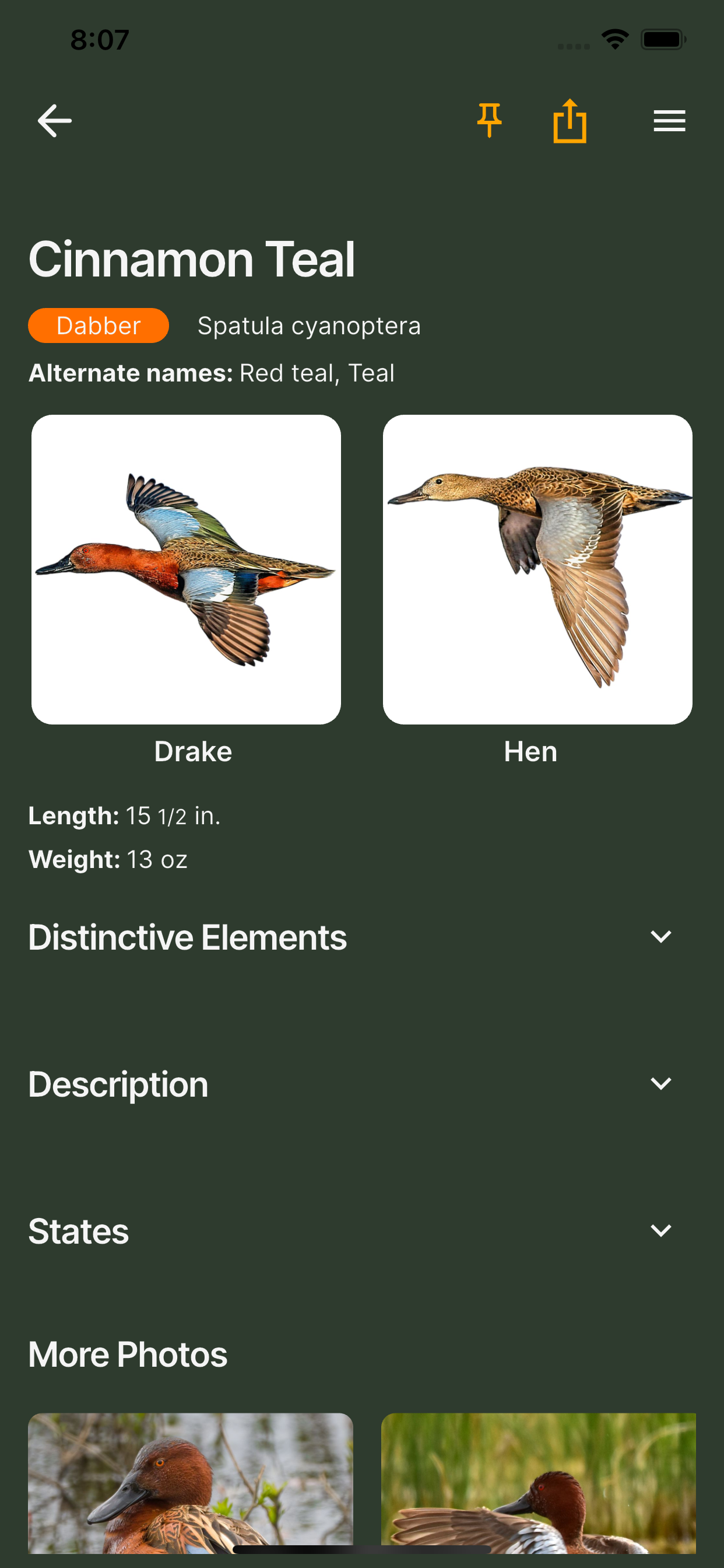 The Call: Duck ID & Calls screenshot 4