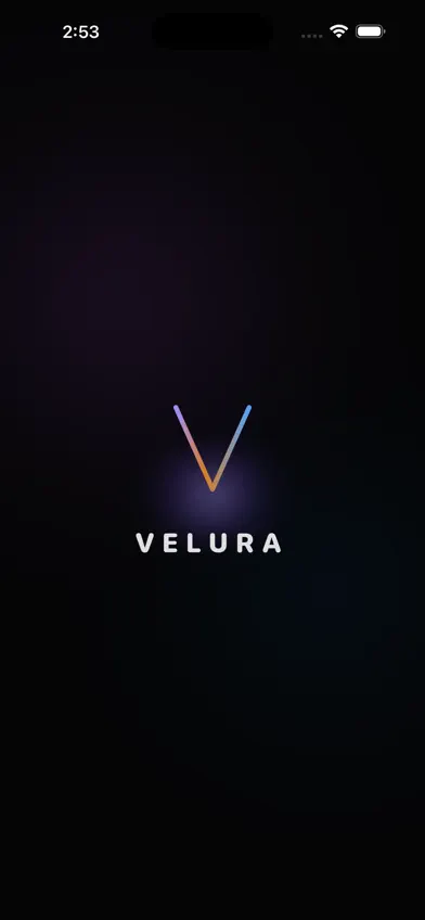 Velura Studio screenshot 1