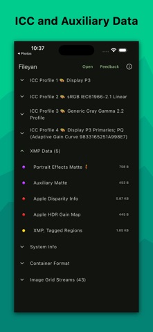 Fileyan Screenshot 8 of 9