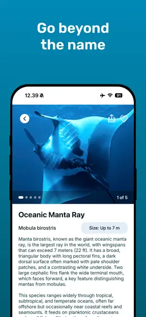 Fins - Fish ID screenshot 4