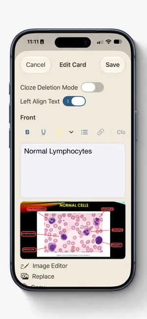 Recall - Flashcards screenshot 4
