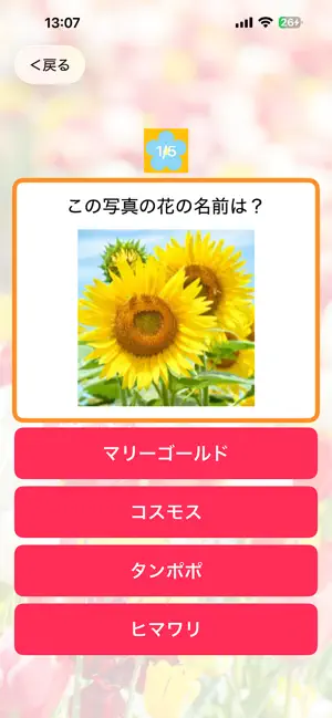 お花博士になろう！ screenshot 2