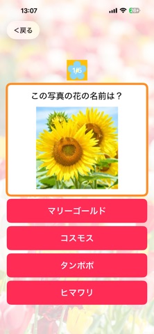 お花博士になろう！ screenshot