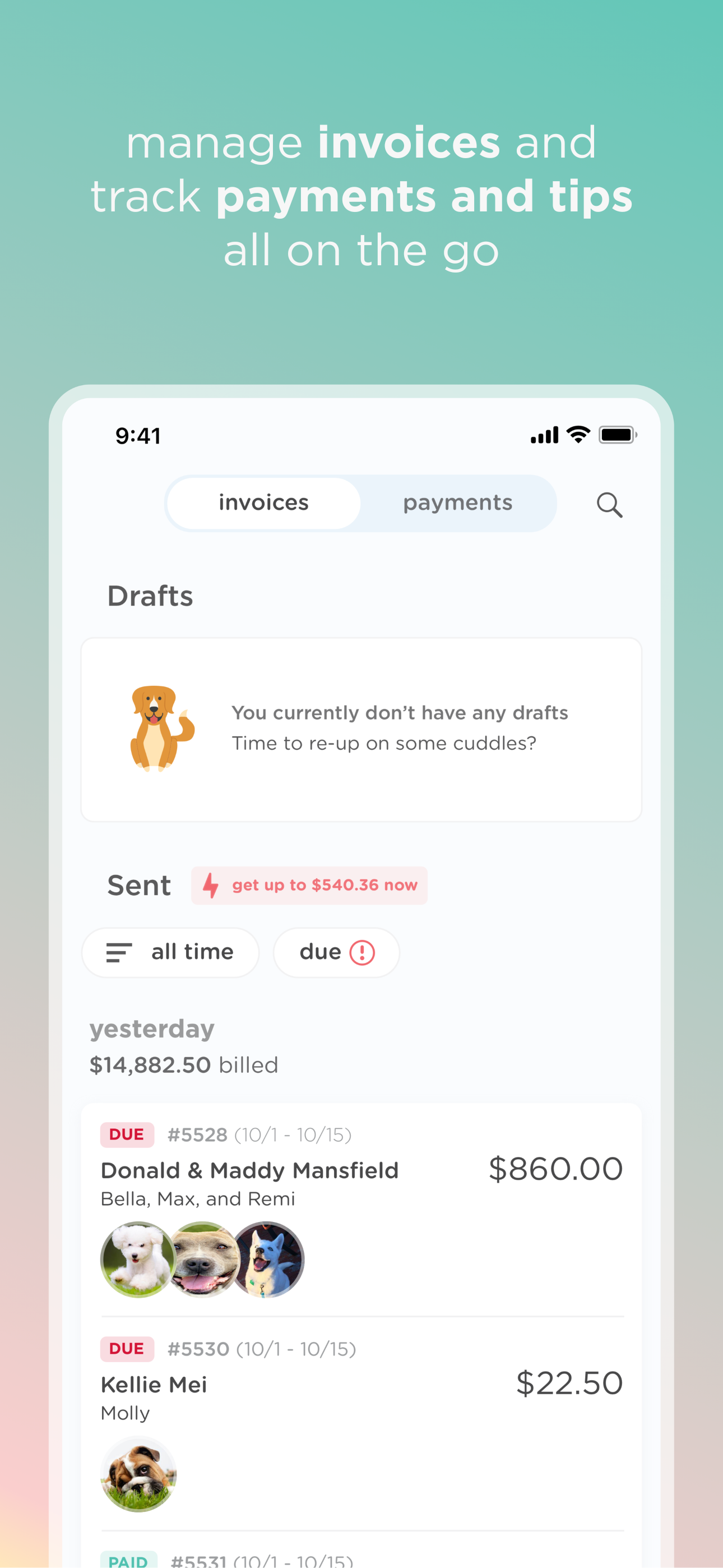 PetPocketbook screenshot 6