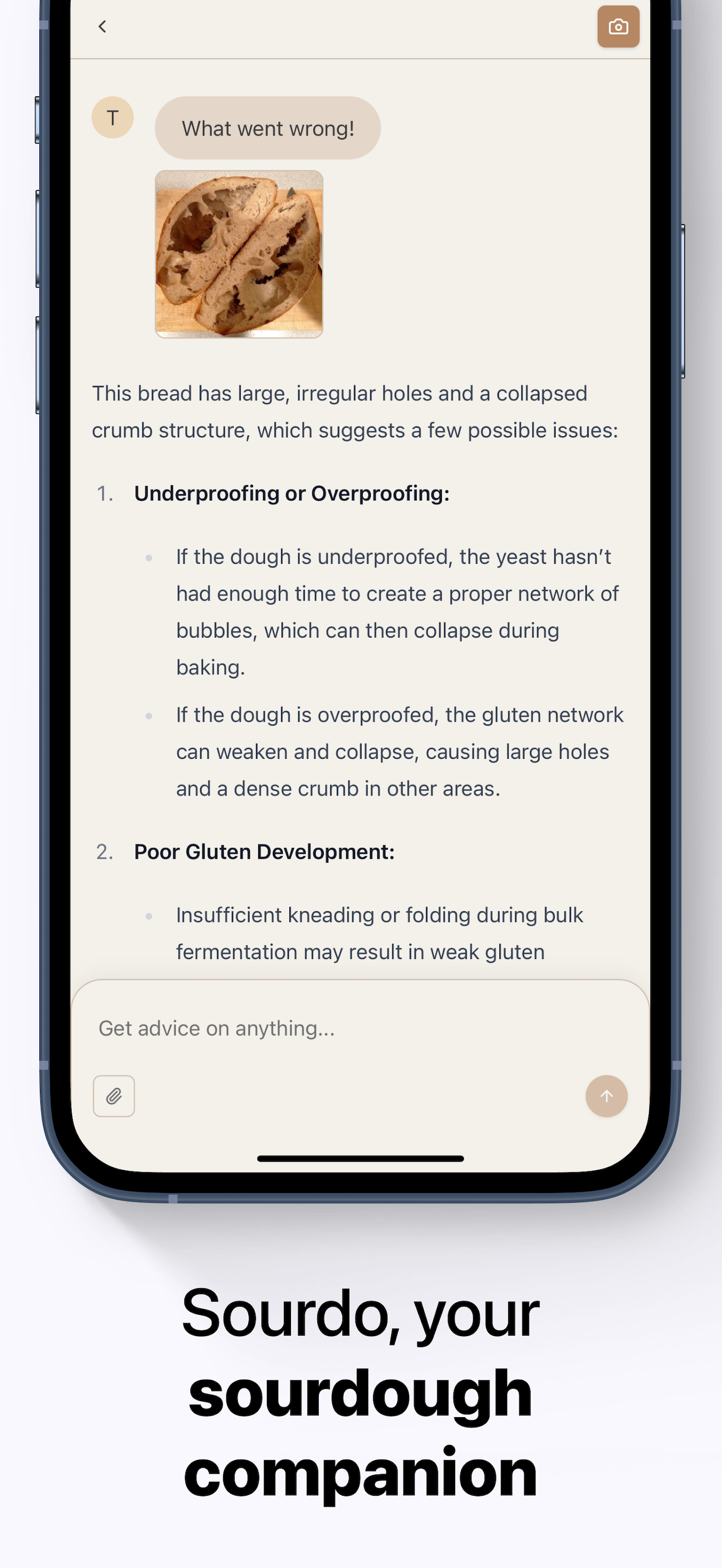 Sourdo - Sourdough Crumb Reads screenshot 5