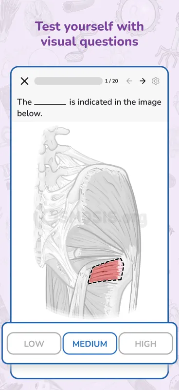 Osmosis - Nursing Exam Prep screenshot 4 of 8