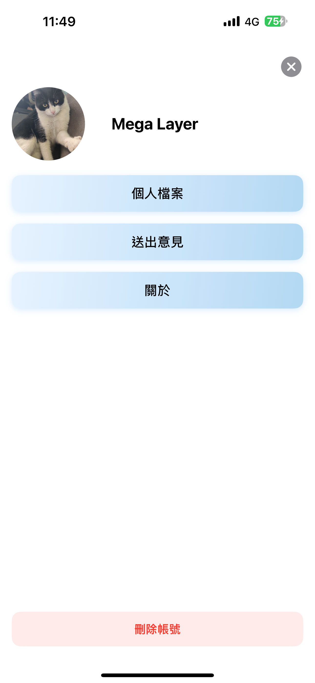 資產一本帳