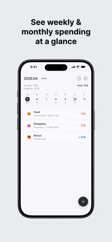 DayLedger - Simple Budget Screenshot 5 of 7