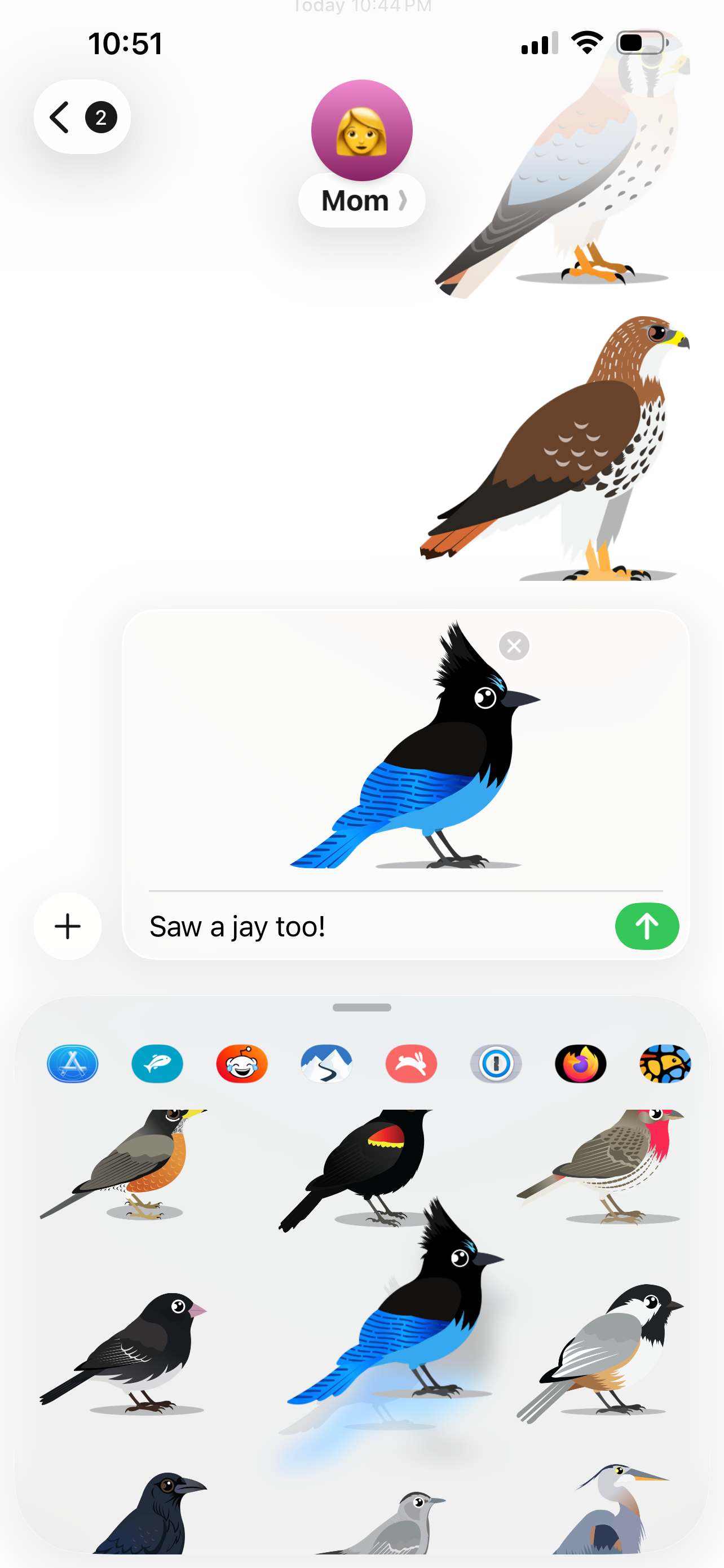 Identify Birds – Smart Bird ID screenshot 24