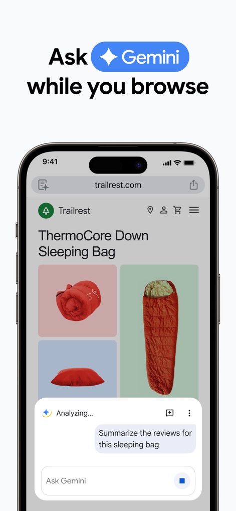 Google Chrome - AI-Powered Assistance
