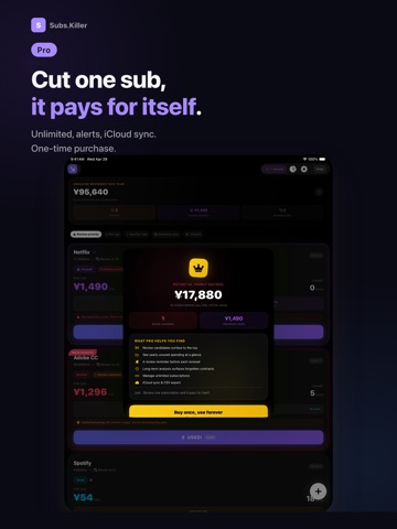 Subscriptions: Subs.Killer iPad screenshot